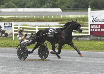 Mcbeantown holds field at bay