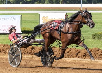 Selfie Queen rebounds in KY Championship Series