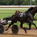 Dunn wins five and stakes at Red Mile