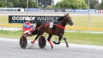 Ferguson enters new training partnership