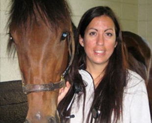 MGM Northfield Park seeks track vet