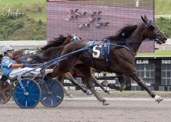 Pantaleano gives perfect drive on Tequila Talkin