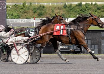 New tactics fruitful for Tuesday Morning