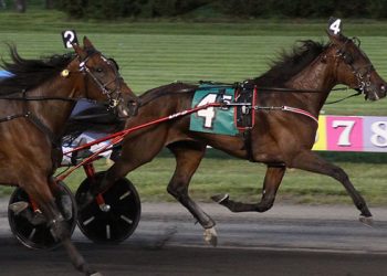 Hambletonian Oaks elims ruled by long shots
