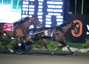 Donna Soprano defiant in $414,000 Elegantimage triumph