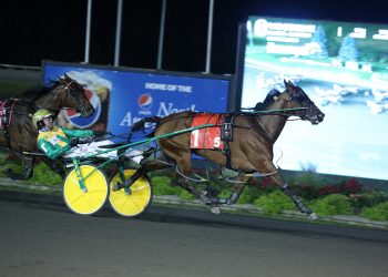 Lyons Sentinel flies late in Roses Are Red