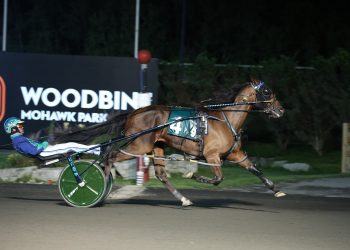 Favourites shine in Fan Hanover eliminations