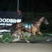 Favourites shine in Fan Hanover eliminations 3 Favourites shine in Fan Hanover eliminations
