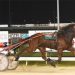 Tasmanian Harness Highlights podcast