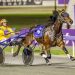 Exciting WA pacer to end 13-year absence for driver