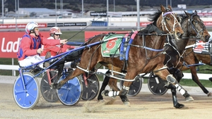 Tasmanian Harness Highlights podcast