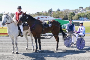 Queensland Harness Racing wrap