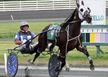 Pacer notches 11th win of the season