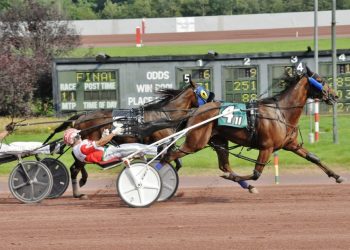 George Napolitano, Jr. nails down 11,000th win