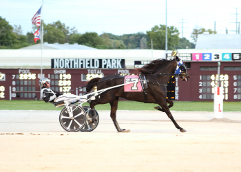 Everyone’s in the shadow of Winning Shadow