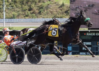 Quarter-move makes All Day Sunshine a winner