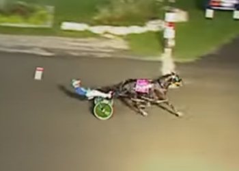 Abuckabett Hanover on top in $176,815 Simcoe