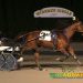 Agedchedar Hanover rallies to Philly feature win