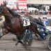 Allywag Hanover relishes class relief 3 McCarthy looks to keep good times rolling