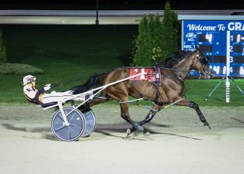 Stars shine in Prospect Series finals