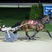 Upset winner in Saratoga F&M Open 1 Stars shine in Prospect Series finals