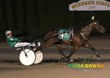 American Delight N digs in for Open score