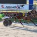 Speedy NZ filly to contest Breeders Crown