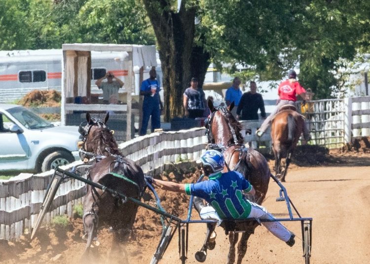 Harrahs Hoosier Park 2021 racing dates Harnesslink