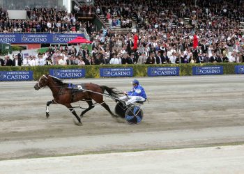 Former Kiwi superstar leaving winners all over the world