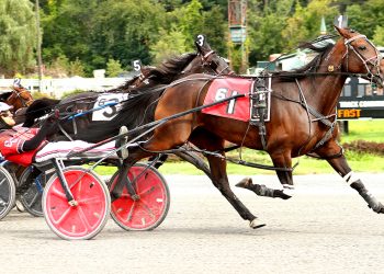 Birch Island Betty handles F & M Open Pace