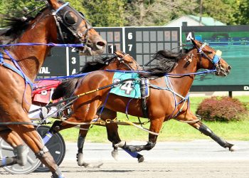 Bontz N rebounds in Mares Open Pace