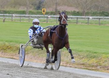 Williamson team firing