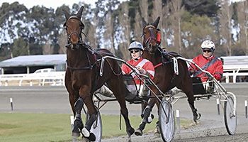 Ex-Aussie debuts at Wyndham today