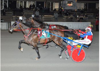 Excelsior “A” horses shine