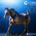 Cobbitty Equine Farm goes digital