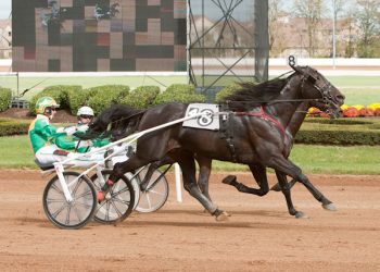 Creatine on way back to USA