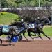 Longshot outlasts feature field challengers