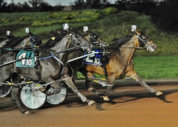 Long shot Crazy Cute takes blanket finish