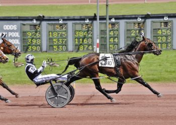 Highalator to Schwartz Boarding Farm in 2022