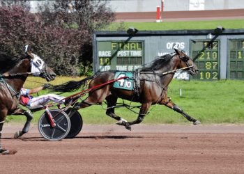 The Downs co-features to Im A Gigolo N & Baldaquin