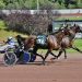 Pocono feature by a nose; Nap boys win four each
