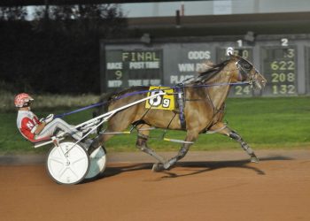 A day of drives for George Nap