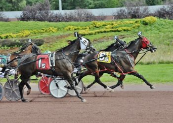 Record claim at The Downs for The Candyman Can