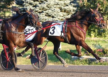 Wellwood and Peaceful Way elims tough