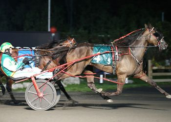 Dabarndawgswatchin all bite in final Gold