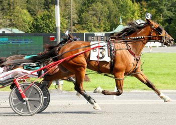 Dewey Arnold adds to his resume