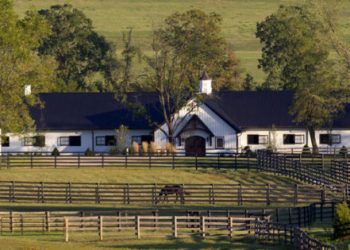 Diamond Creek hosting “Champions and Champagne”