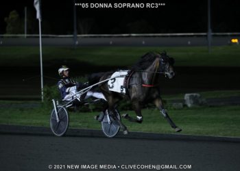 Donna Soprano bounces back big in Simcoe