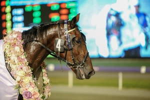 Comeback after 14 month absence