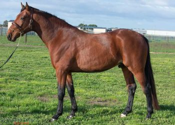 First winner by Dreamcatcher